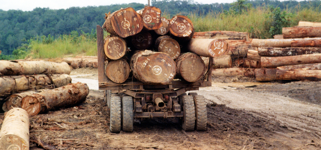 drvna-industrija