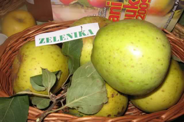 zelene-jabuke
