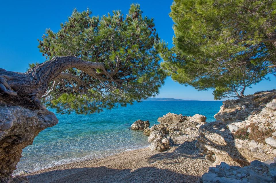 Turisti iz BiH drugi po brojnosti u Makarskoj Turisti iz BiH drugi po brojnosti u Makarskoj
