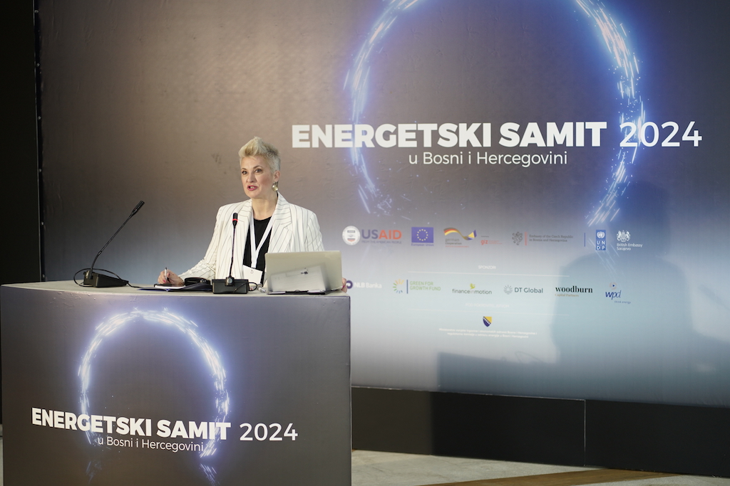 Energetski samit 2024 u Neumu: Predstavljen Pojmovnik energetskog sektora