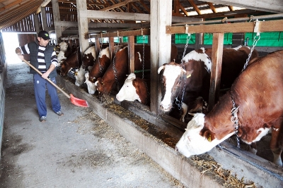 20160215180450_353931