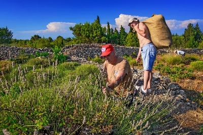 20160506163410_368430