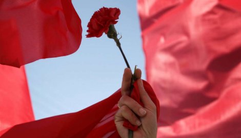 240010_prvi-maj-ap_f