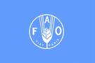 fao