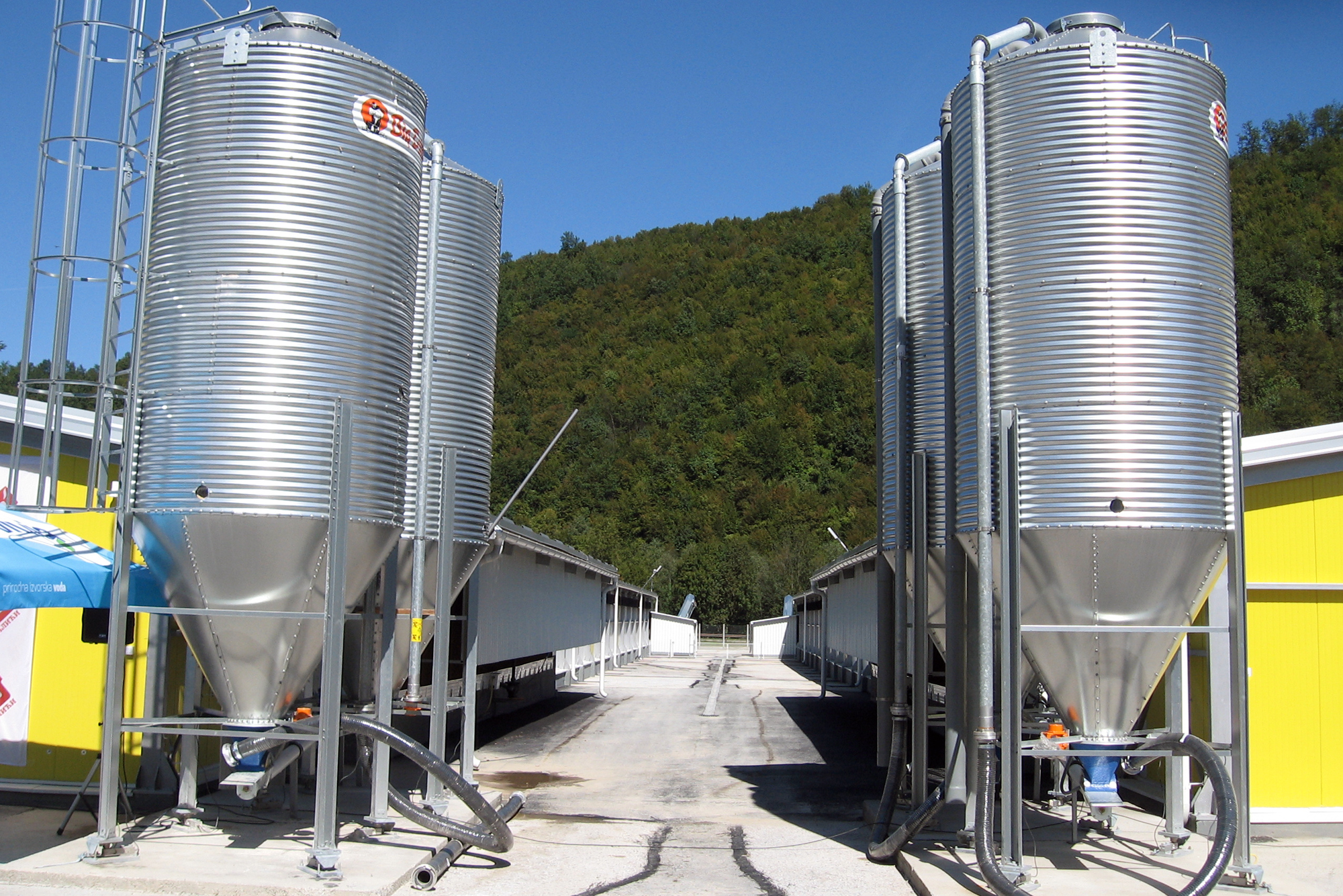 ??????  -  ????? ???? ??????