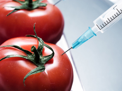 gmo