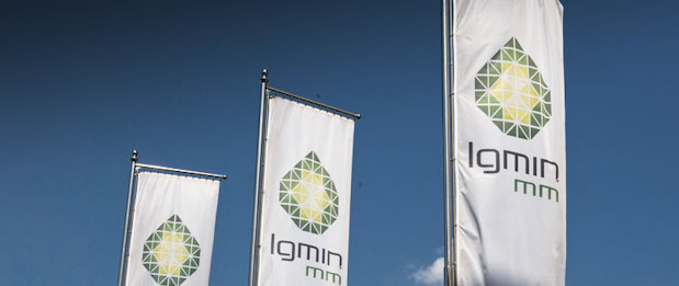 igmin grupa