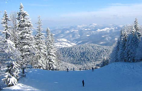 jahorina-staza