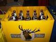 Molson Coors