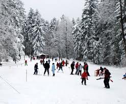 kozara