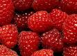 maline