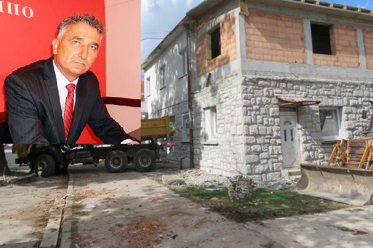 nesvesinje