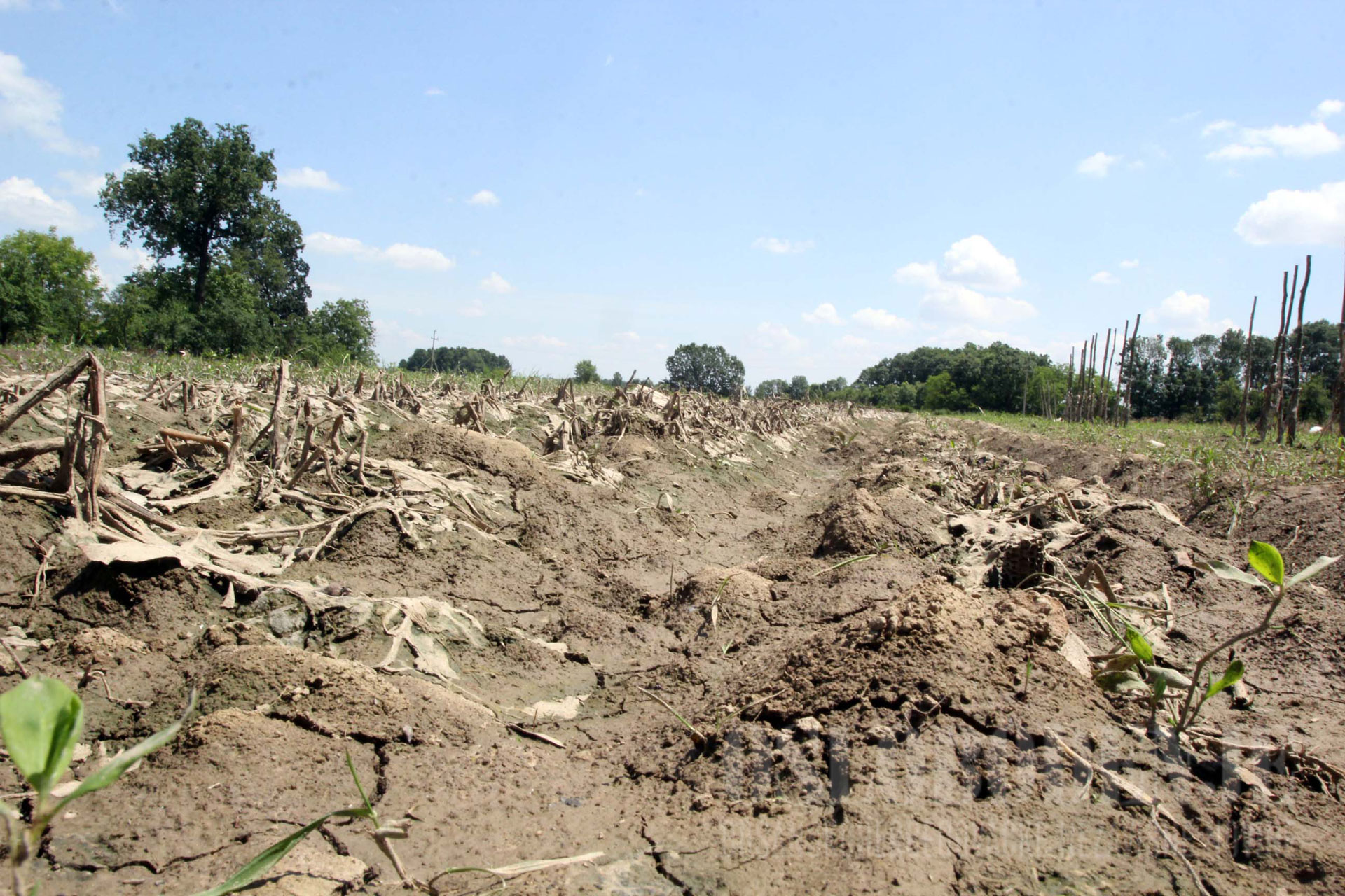 poplave poljoprivreda