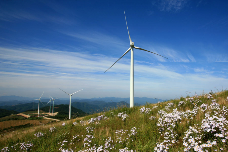 propeleri-u-nevesinju