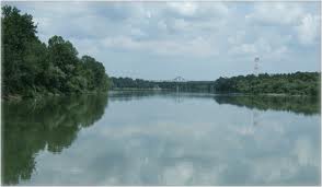 sava