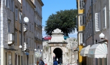 stanovi